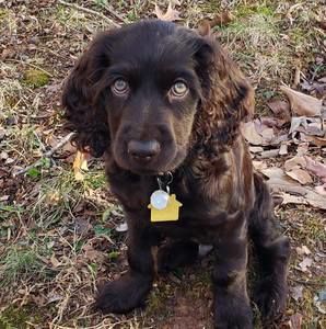 Meet your Posher, Greta